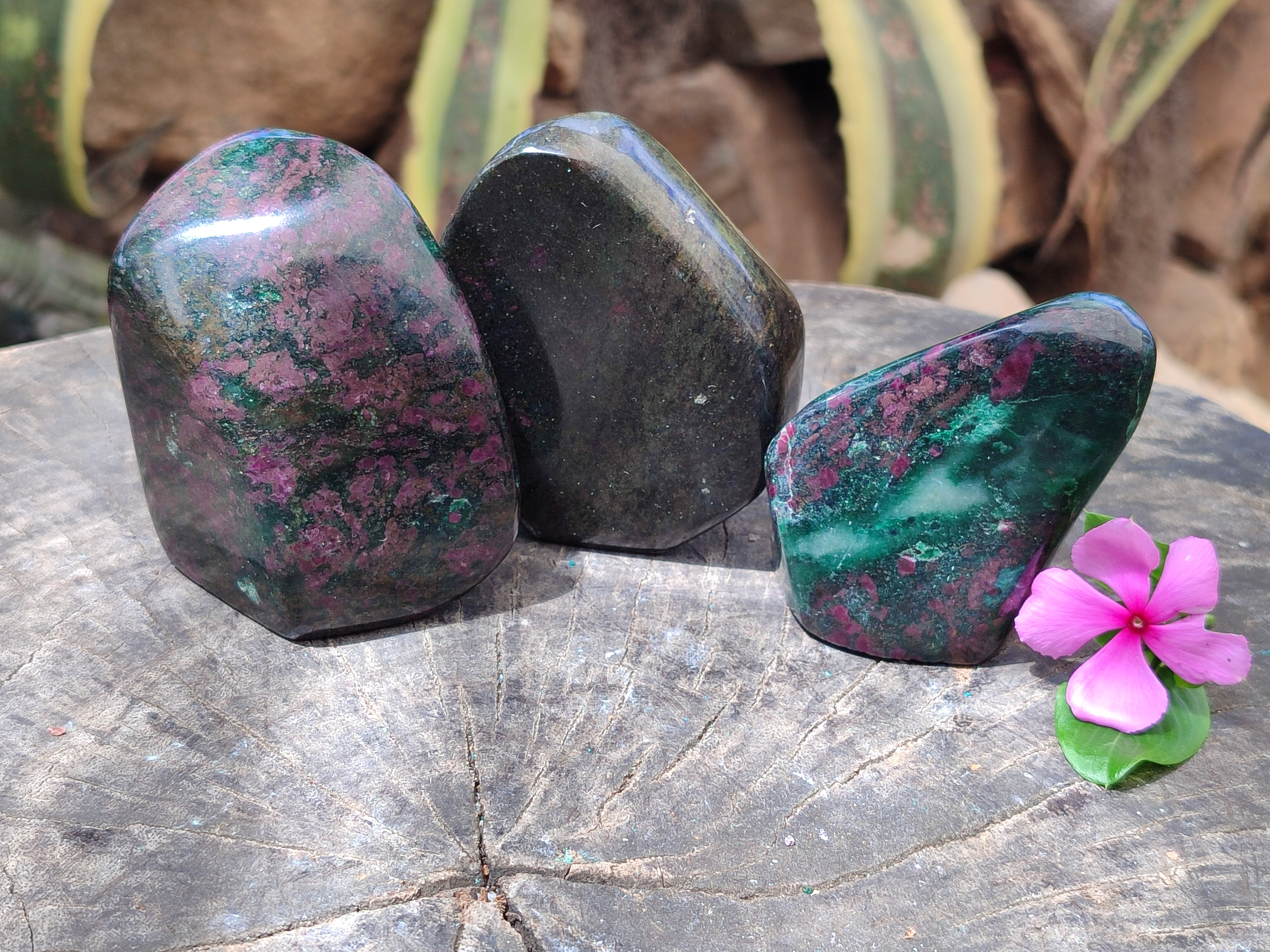 Polished Ruby Corundum In Chrome Verdite Standing Free Forms x 3 From Zimbabwe - Toprock Gemstones and Minerals 