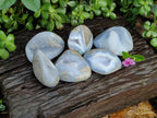 Polished Blue Lace Agate Geodes x 6 From Malawi - Toprock Gemstones and Minerals 