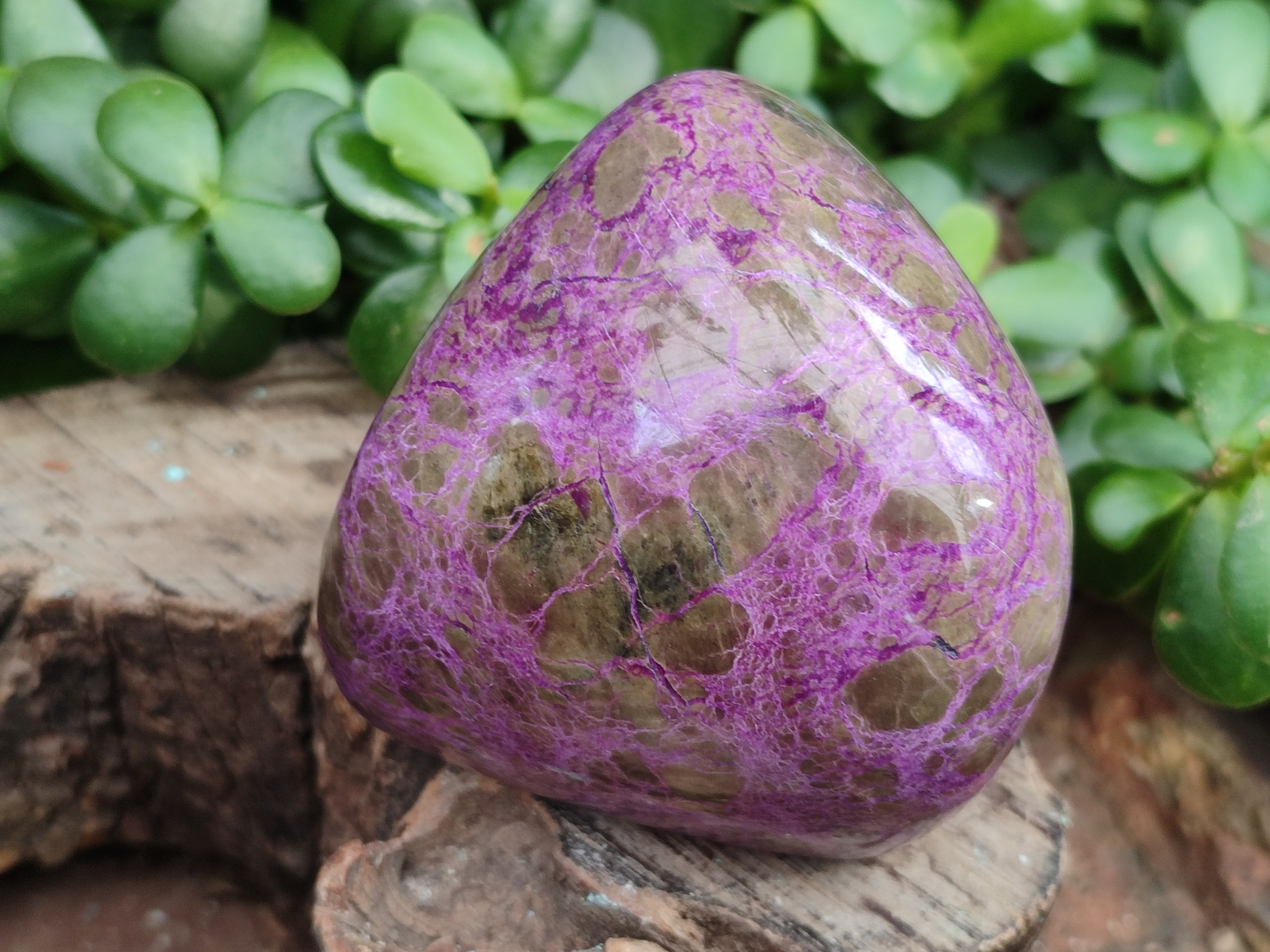 Polished Stichtite Standing Free Forms x 3 From Barberton, South Africa - Toprock Gemstones and Minerals 