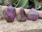 Polished Stichtite Standing Free Forms x 3 From Barberton, South Africa - Toprock Gemstones and Minerals 