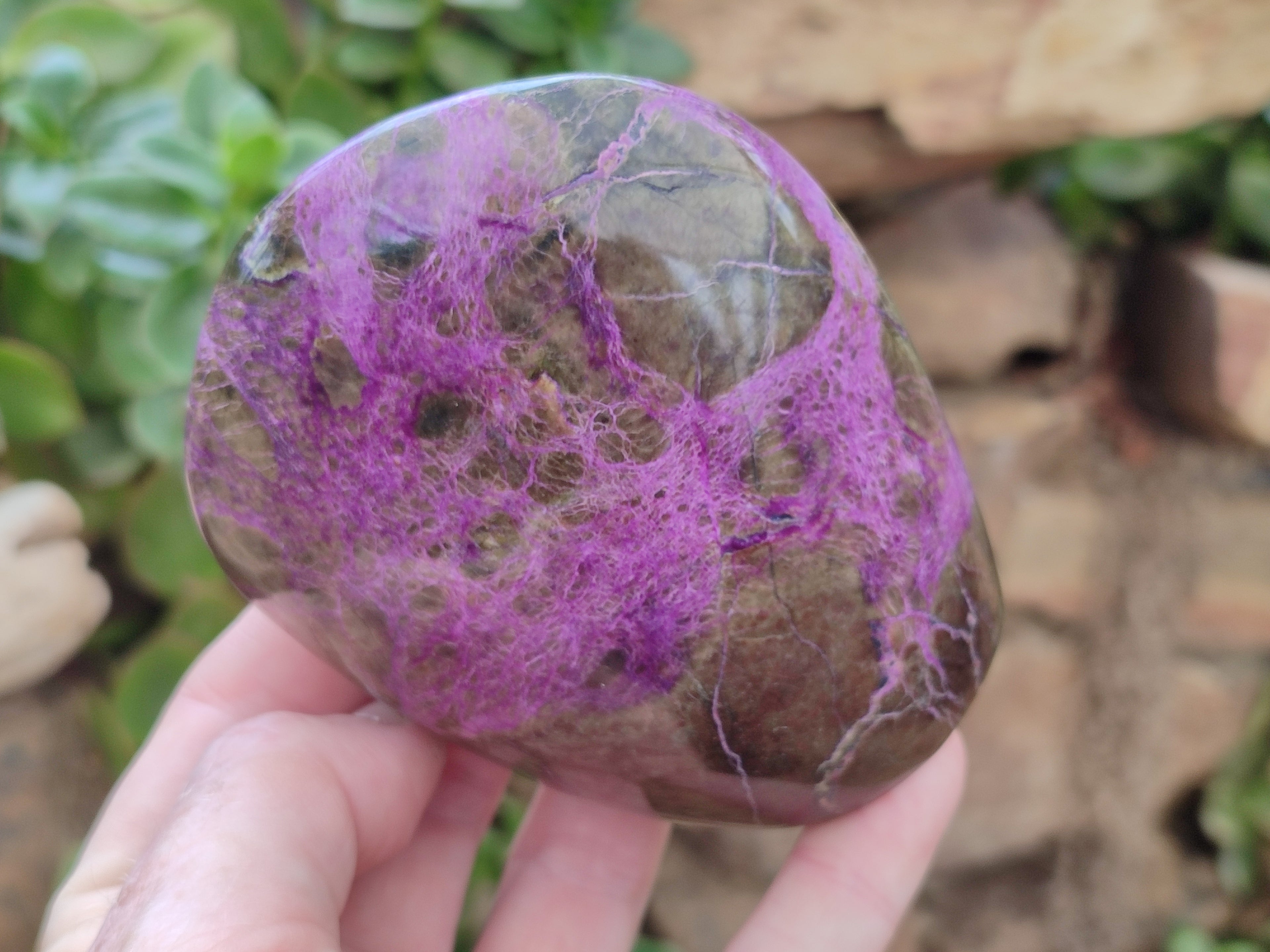 Polished Stichtite Standing Free Forms x 3 From Barberton, South Africa - Toprock Gemstones and Minerals 