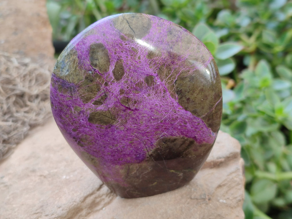 Polished Stichtite Standing Free Forms x 3 From Barberton, South Africa - Toprock Gemstones and Minerals 