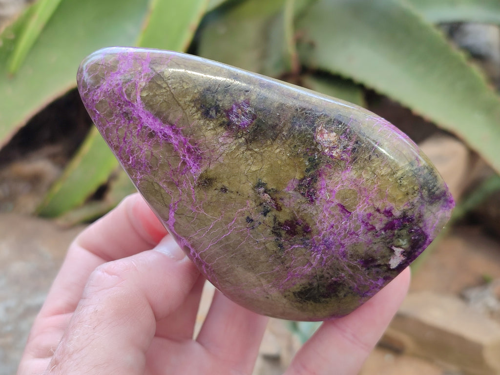 Polished Stichtite Standing Free Forms x 3 From Barberton, South Africa - Toprock Gemstones and Minerals 
