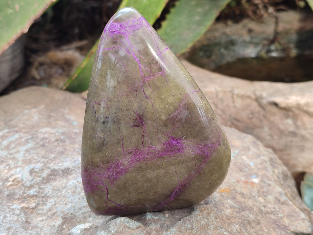 Polished Stichtite Standing Free Forms x 3 From Barberton, South Africa - Toprock Gemstones and Minerals 