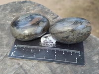 Polished Rare Pharaoh Stone Pyrite in Basalt Free Forms x 3 Iron Duke Mine, Zimbabwe - Toprock Gemstones and Minerals 