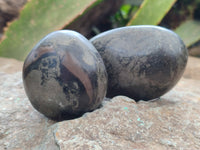 Polished Rare Pharaoh Stone Pyrite in Basalt Free Forms x 3 Iron Duke Mine, Zimbabwe - Toprock Gemstones and Minerals 