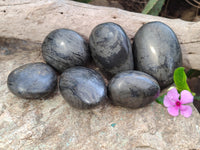Polished Rare Pharaoh Stone Pyrite in Basalt Free Forms x 3 Iron Duke Mine, Zimbabwe - Toprock Gemstones and Minerals 