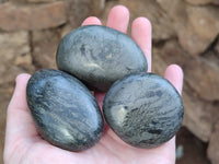 Polished Rare Pharaoh Stone Pyrite in Basalt Free Forms x 3 Iron Duke Mine, Zimbabwe - Toprock Gemstones and Minerals 