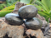 Polished Rare Pharaoh Stone Pyrite in Basalt Free Forms x 3 Iron Duke Mine, Zimbabwe - Toprock Gemstones and Minerals 