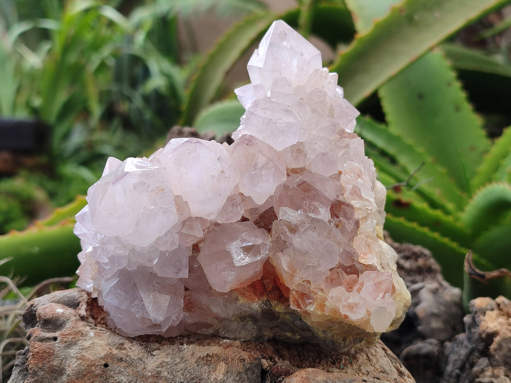 Natural Amethyst Spirit Quartz Clusters x 3 From Boekenhouthoek, South Africa - Toprock Gemstones and Minerals 