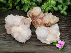 Natural Amethyst Spirit Quartz Clusters x 3 From Boekenhouthoek, South Africa - Toprock Gemstones and Minerals 