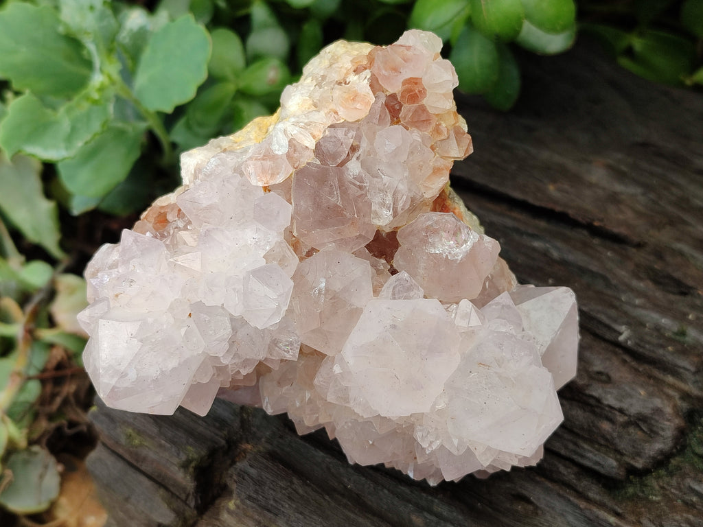 Natural Amethyst Spirit Quartz Clusters x 3 From Boekenhouthoek, South Africa - Toprock Gemstones and Minerals 