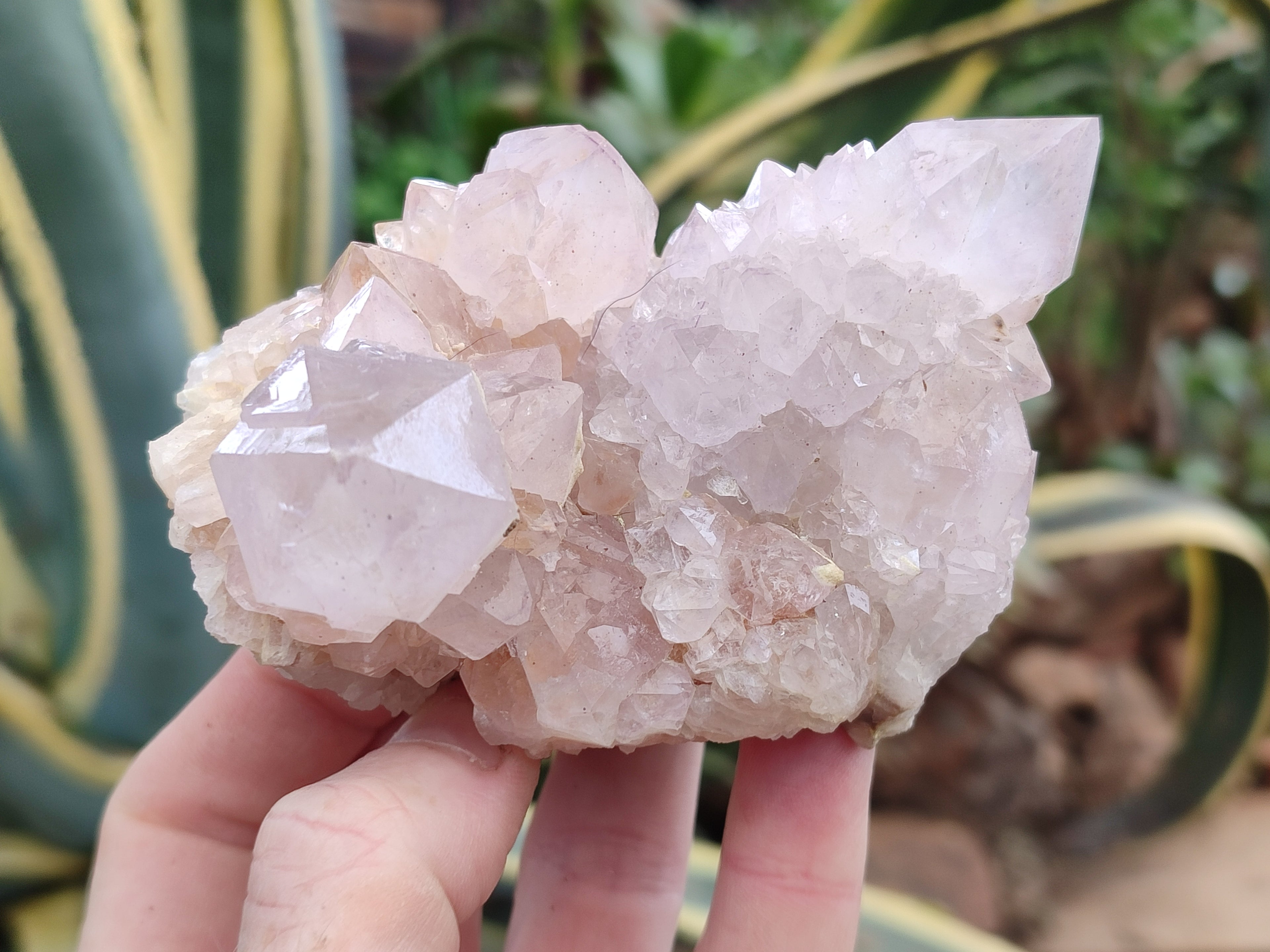 Natural Amethyst Spirit Quartz Clusters x 3 From Boekenhouthoek, South Africa - Toprock Gemstones and Minerals 