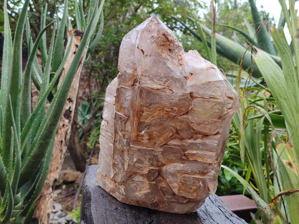Polished Smokey Cascading Window Quartz Crystal x 1 From Madagascar - Toprock Gemstones and Minerals 