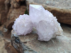 Natural Amethyst Spirit Quartz Clusters x 6 From Boekenhouthoek, South Africa - Toprock Gemstones and Minerals 