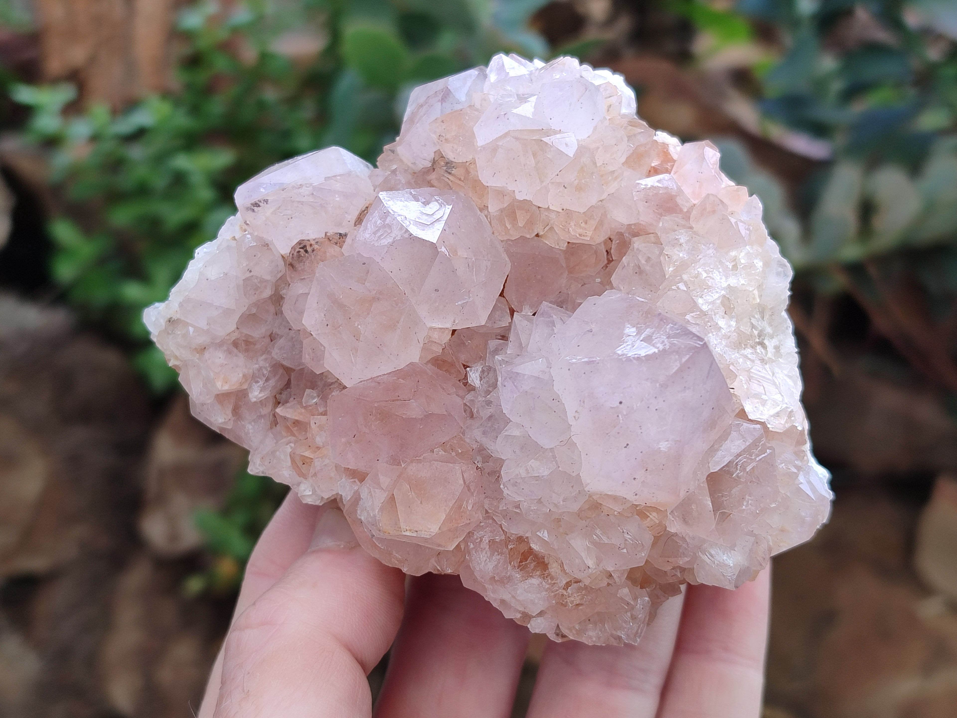 Natural Amethyst Spirit Quartz Clusters x 6 From Boekenhouthoek, South Africa - Toprock Gemstones and Minerals 