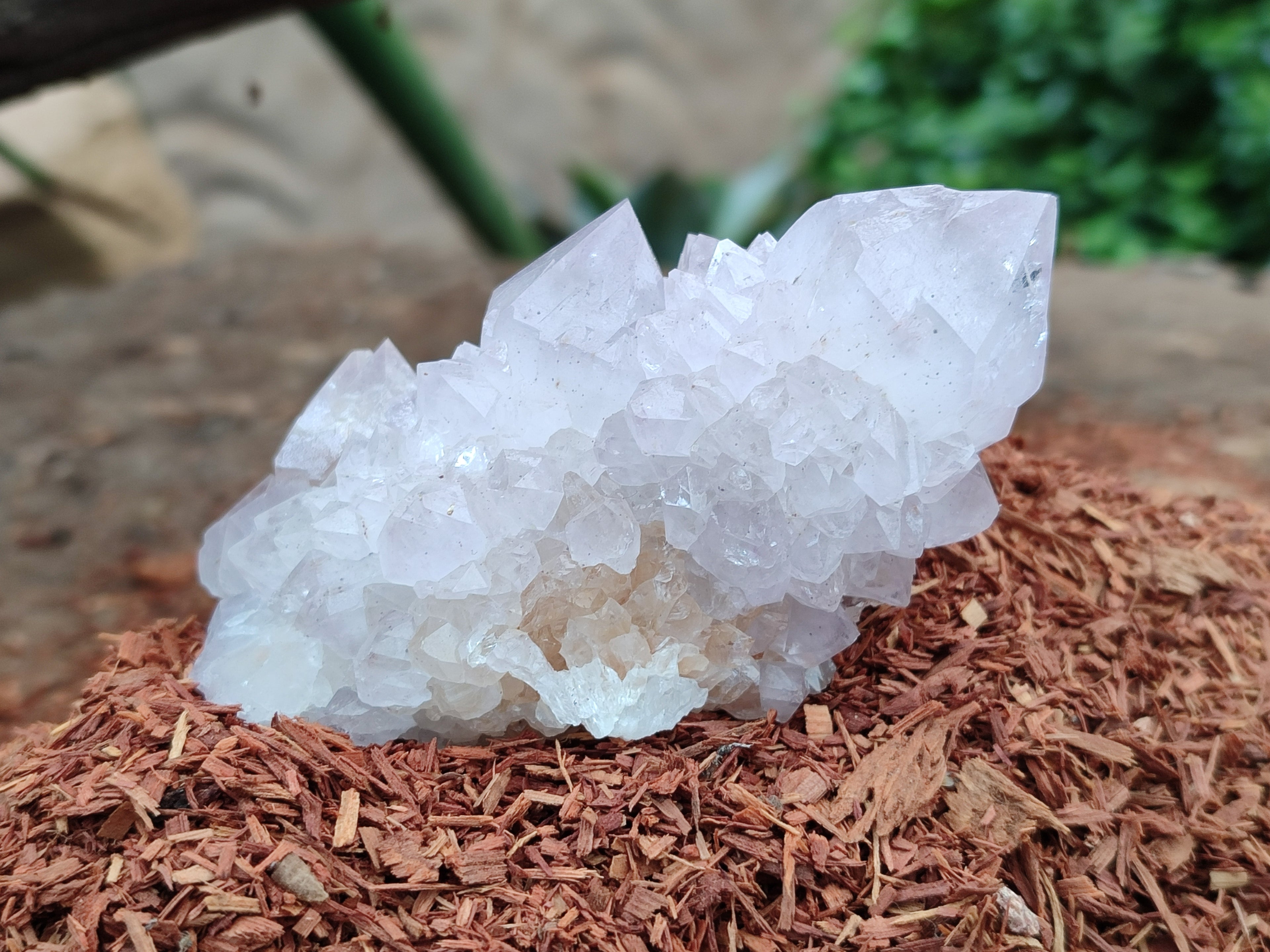 Natural Amethyst Spirit Quartz Clusters x 6 From Boekenhouthoek, South Africa - Toprock Gemstones and Minerals 