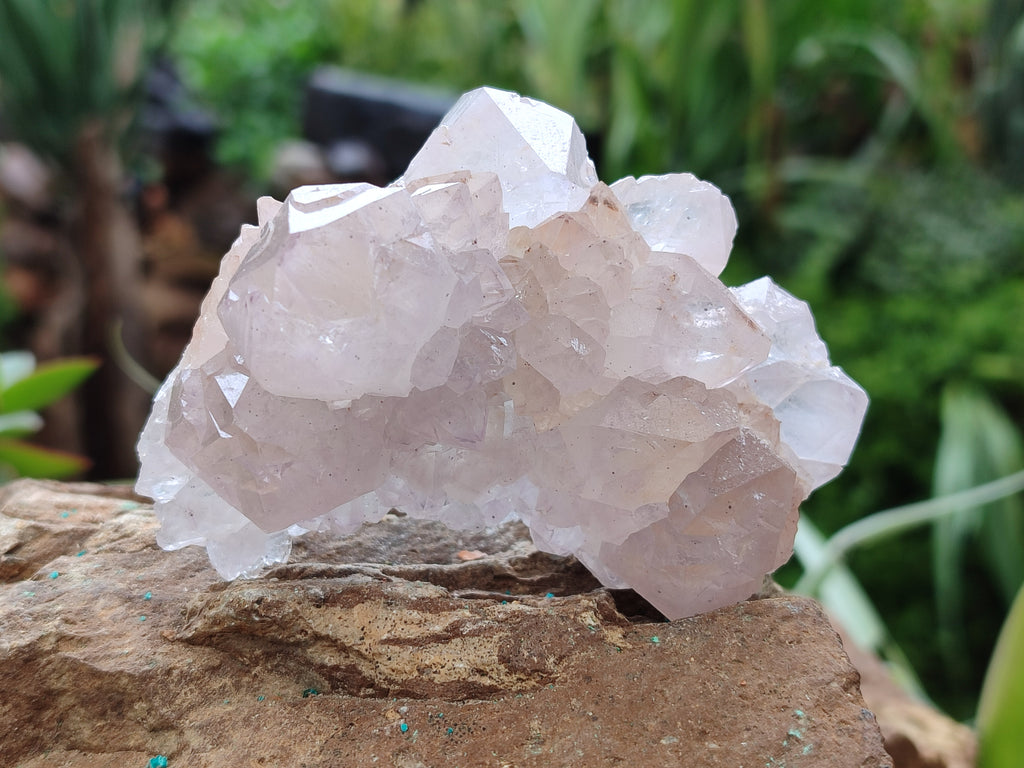 Natural Amethyst Spirit Quartz Clusters x 6 From Boekenhouthoek, South Africa - Toprock Gemstones and Minerals 