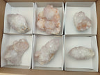Natural Amethyst Spirit Quartz Clusters x 6 From Boekenhouthoek, South Africa - Toprock Gemstones and Minerals 