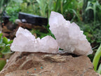 Natural Amethyst Spirit Quartz Clusters x 6 From Boekenhouthoek, South Africa - Toprock Gemstones and Minerals 