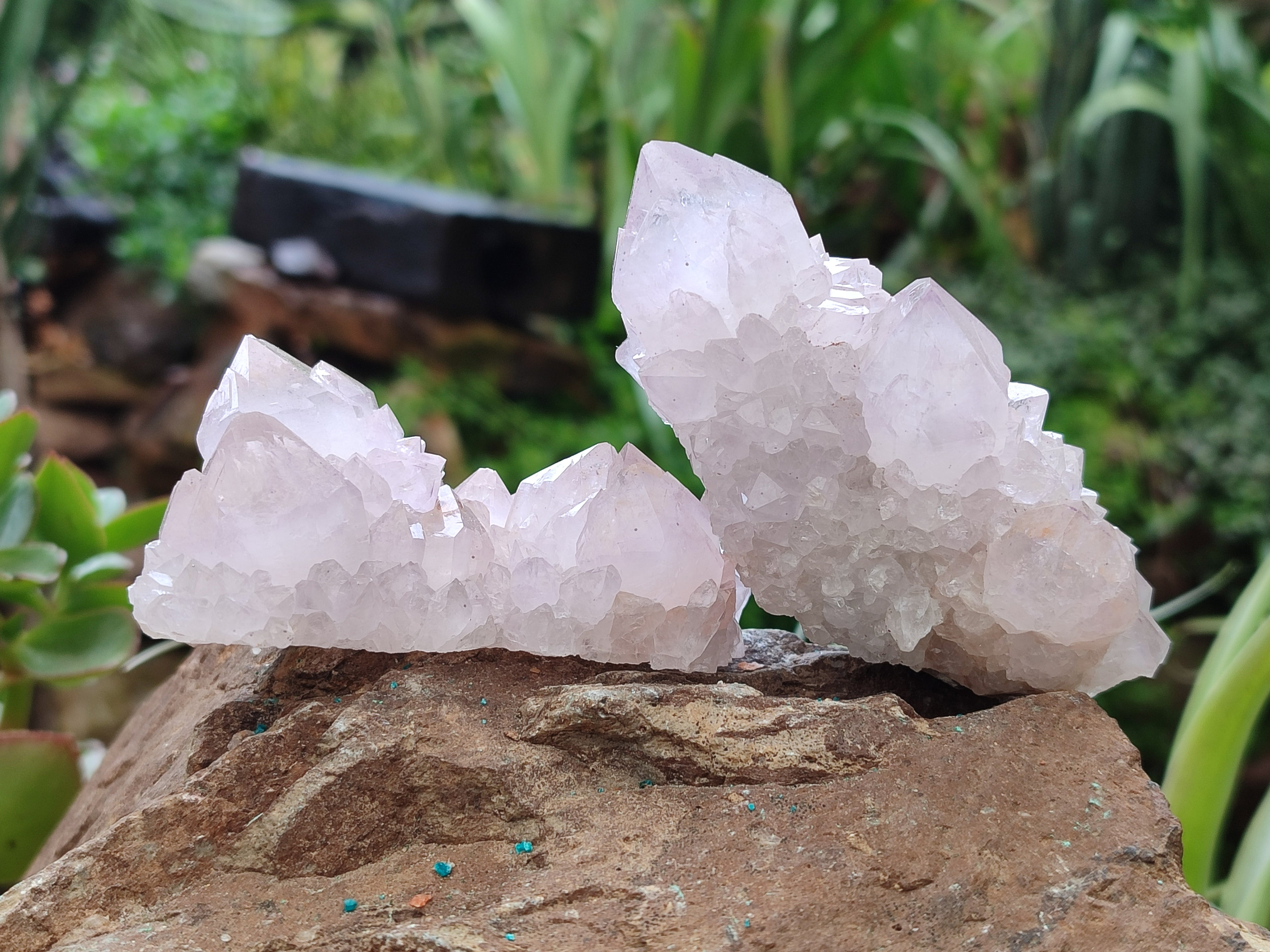 Natural Amethyst Spirit Quartz Clusters x 6 From Boekenhouthoek, South Africa - Toprock Gemstones and Minerals 