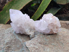 Natural Amethyst Spirit Quartz Clusters x 6 From Boekenhouthoek, South Africa - Toprock Gemstones and Minerals 