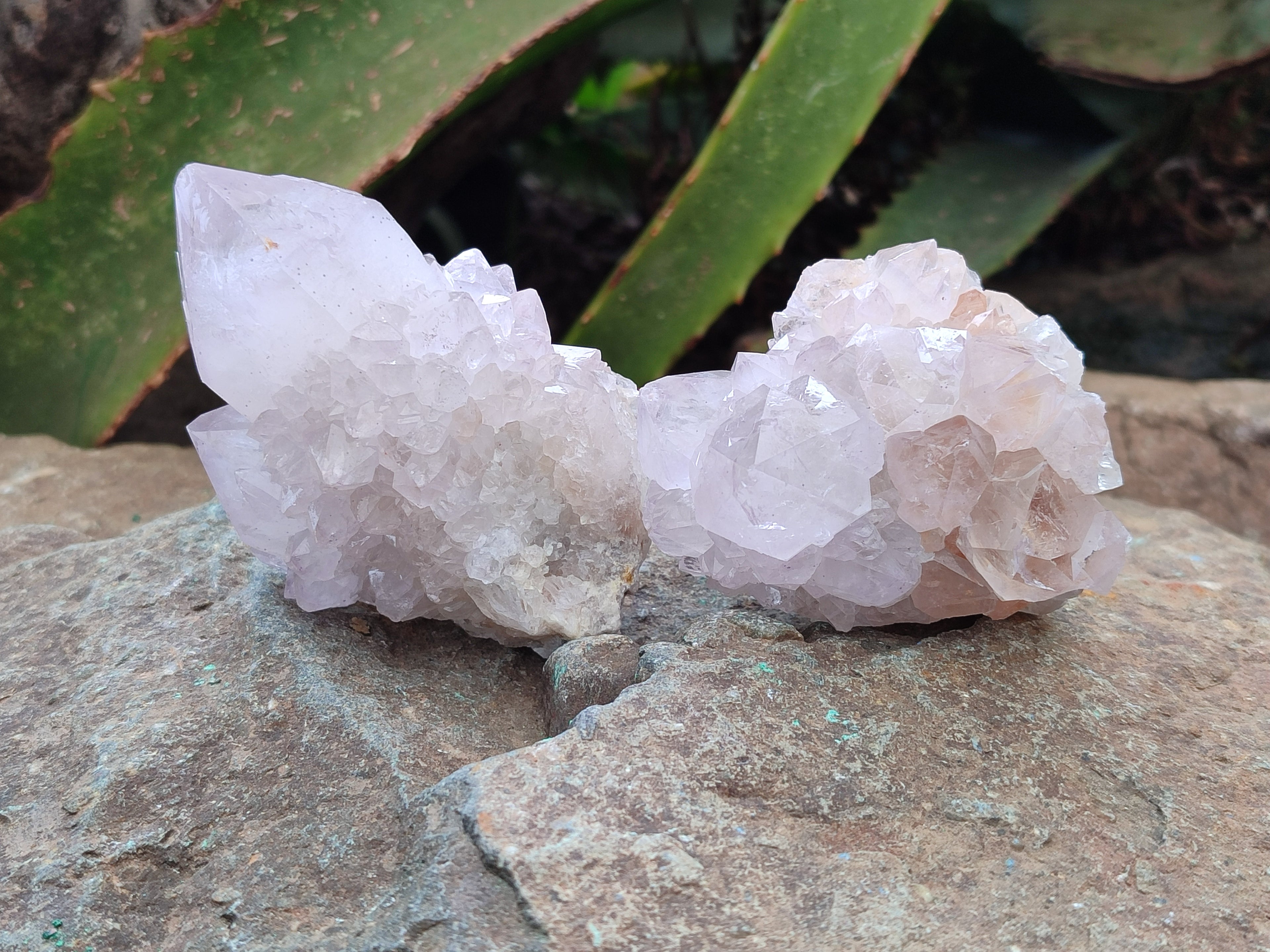 Natural Amethyst Spirit Quartz Clusters x 6 From Boekenhouthoek, South Africa - Toprock Gemstones and Minerals 