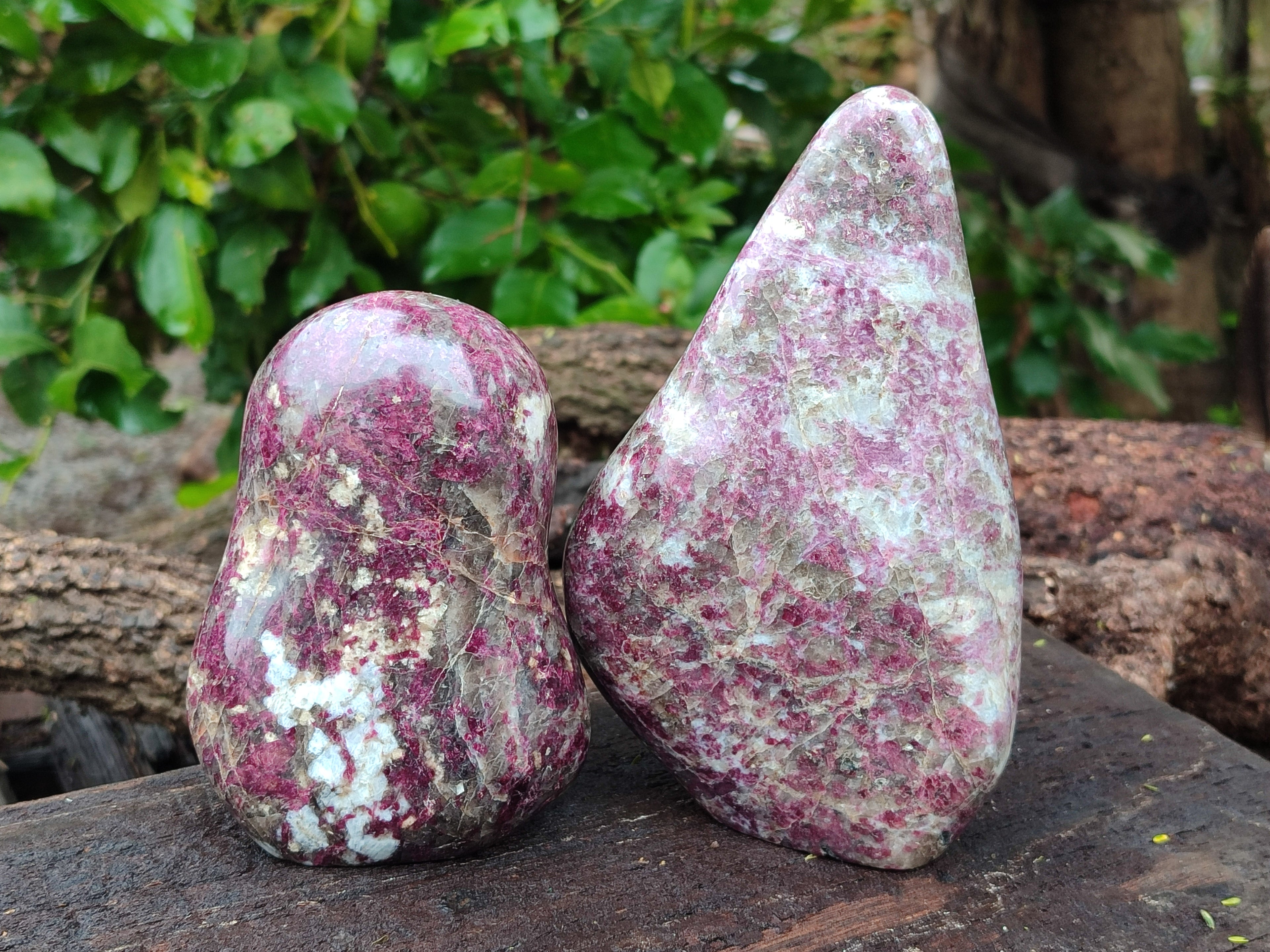 Polished Rubellite Pink Tourmaline Standing Free Forms x 2 From Madagascar - Toprock Gemstones and Minerals 