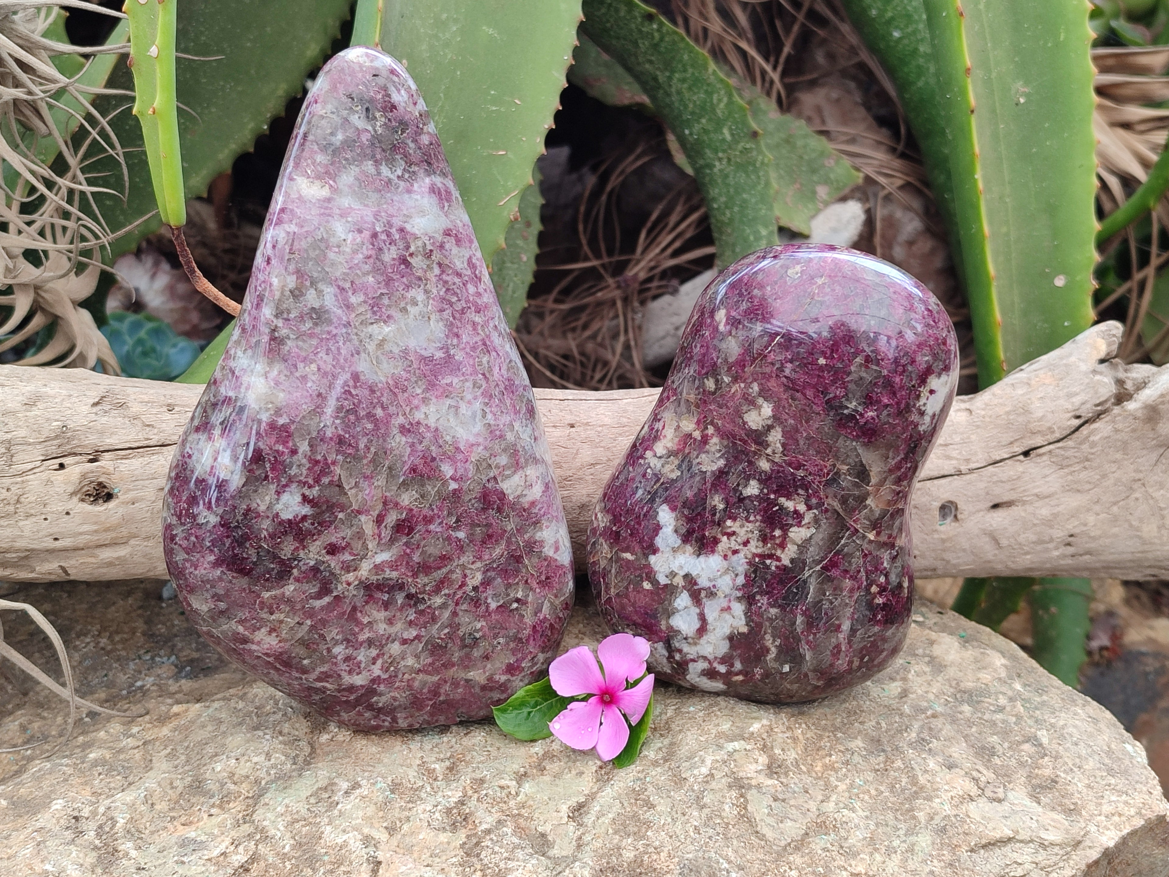 Polished Rubellite Pink Tourmaline Standing Free Forms x 2 From Madagascar - Toprock Gemstones and Minerals 