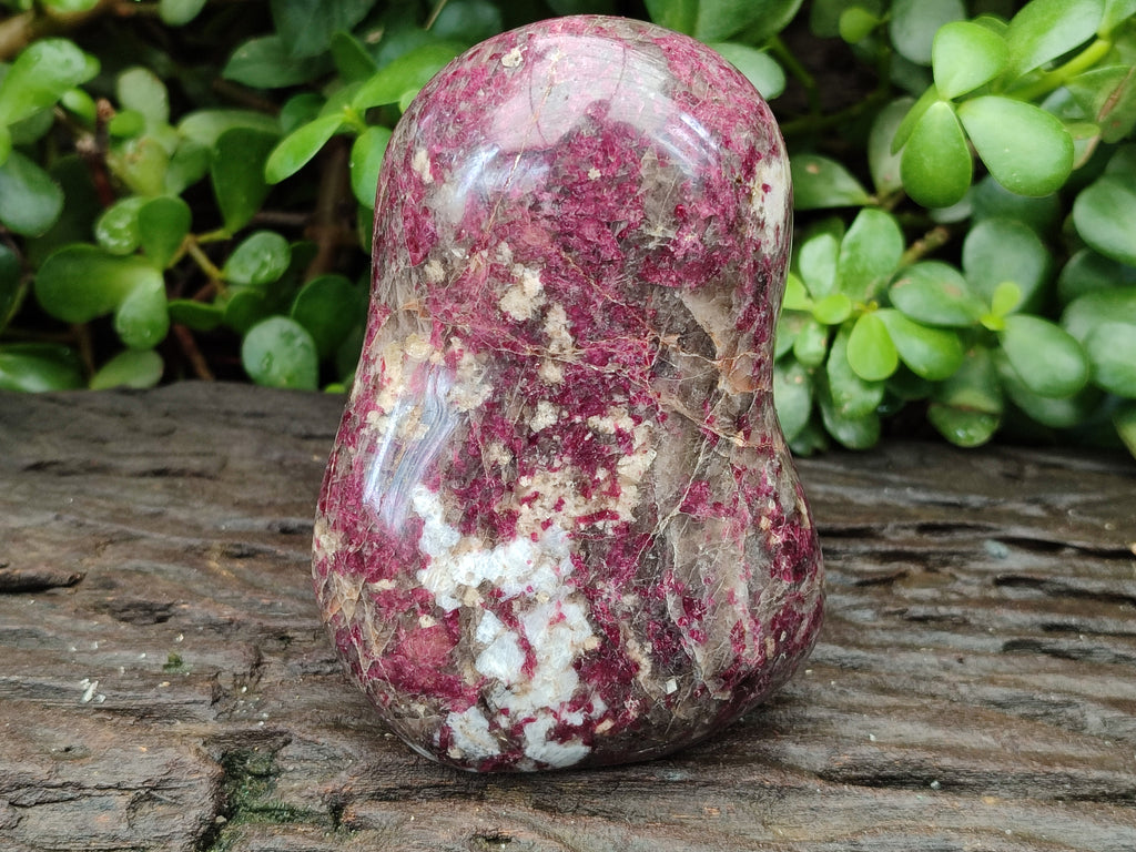 Polished Rubellite Pink Tourmaline Standing Free Forms x 2 From Madagascar - Toprock Gemstones and Minerals 