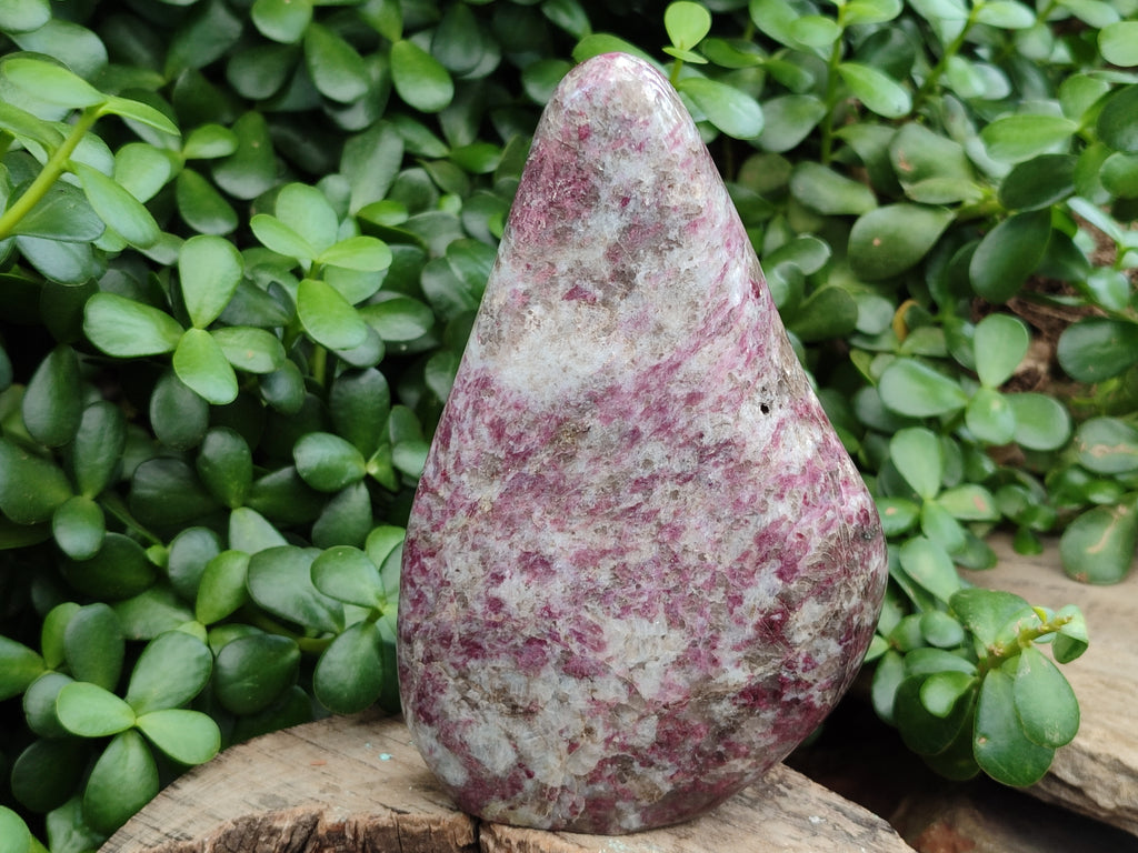 Polished Rubellite Pink Tourmaline Standing Free Forms x 2 From Madagascar - Toprock Gemstones and Minerals 