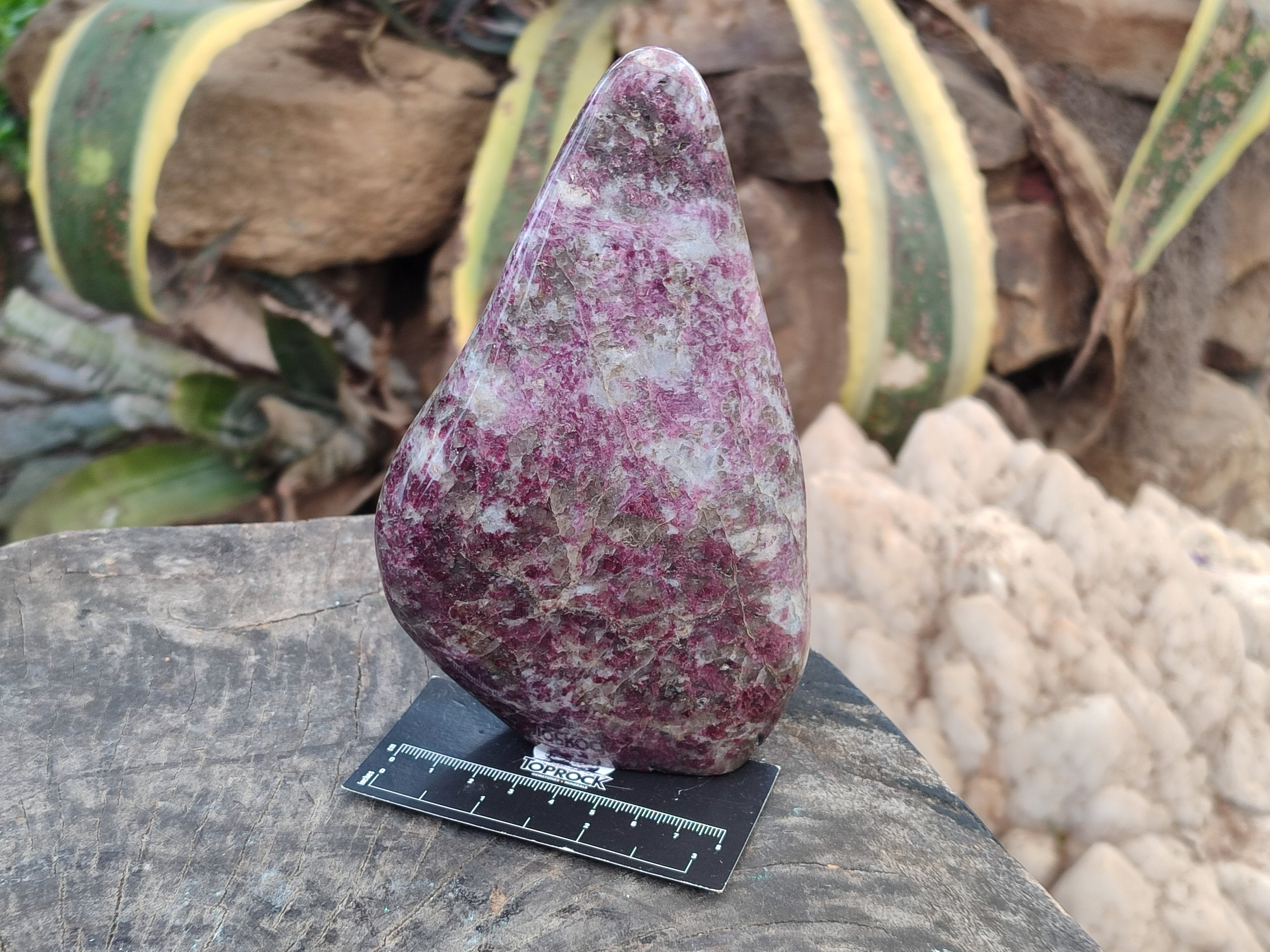 Polished Rubellite Pink Tourmaline Standing Free Forms x 2 From Madagascar - Toprock Gemstones and Minerals 