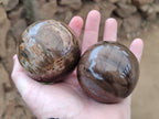 Polished Petrified Wood Spheres x 3 From Gokwe, Zimbabwe - Toprock Gemstones and Minerals 