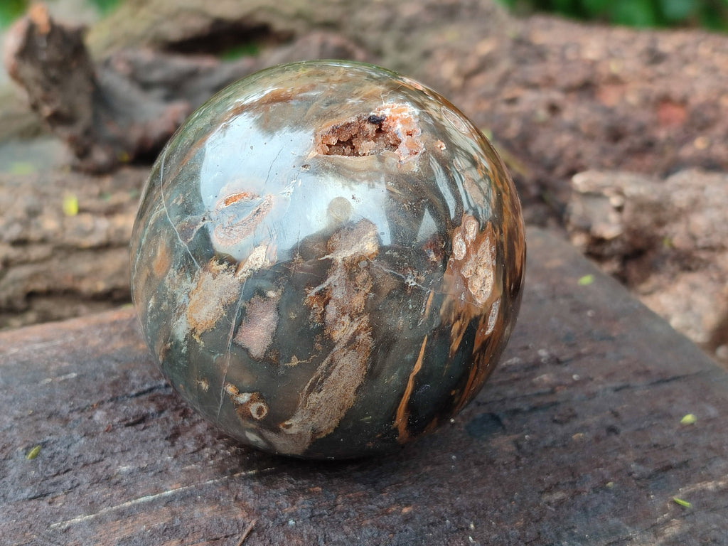 Polished Petrified Wood Spheres x 3 From Gokwe, Zimbabwe - Toprock Gemstones and Minerals 