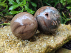Polished Petrified Wood Spheres x 3 From Gokwe, Zimbabwe - Toprock Gemstones and Minerals 