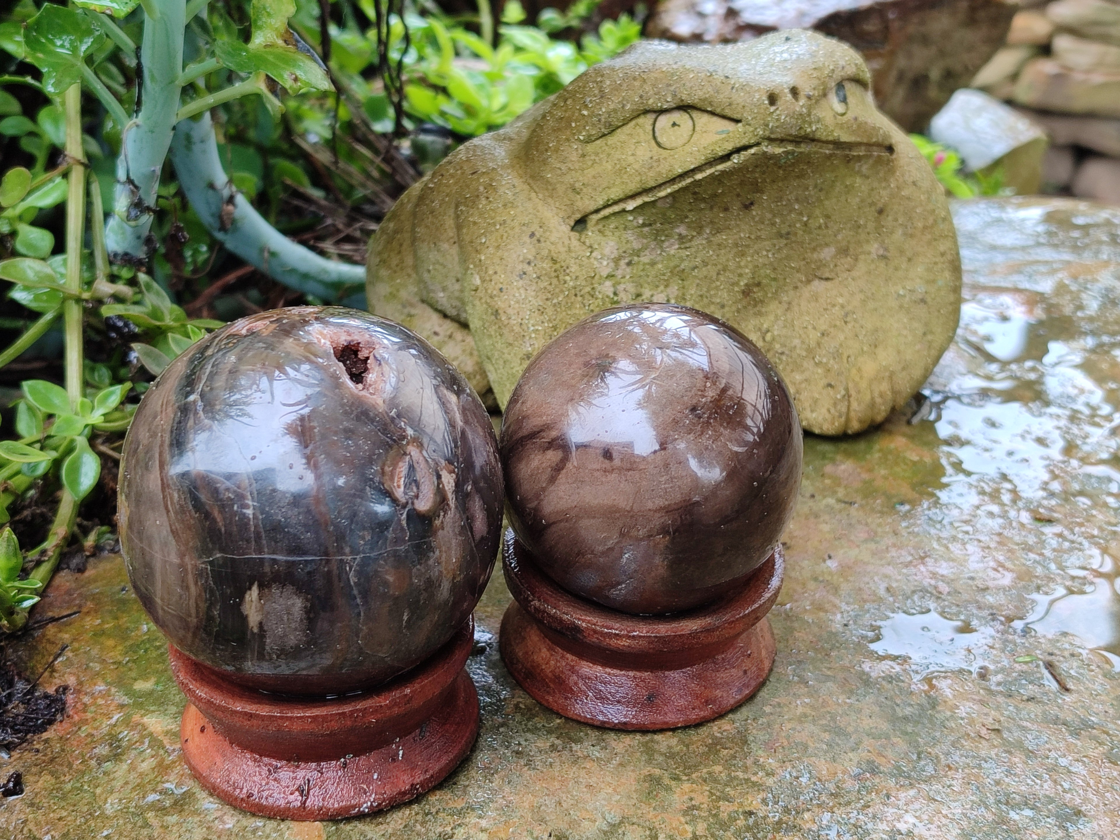 Polished Petrified Wood Spheres x 3 From Gokwe, Zimbabwe - Toprock Gemstones and Minerals 