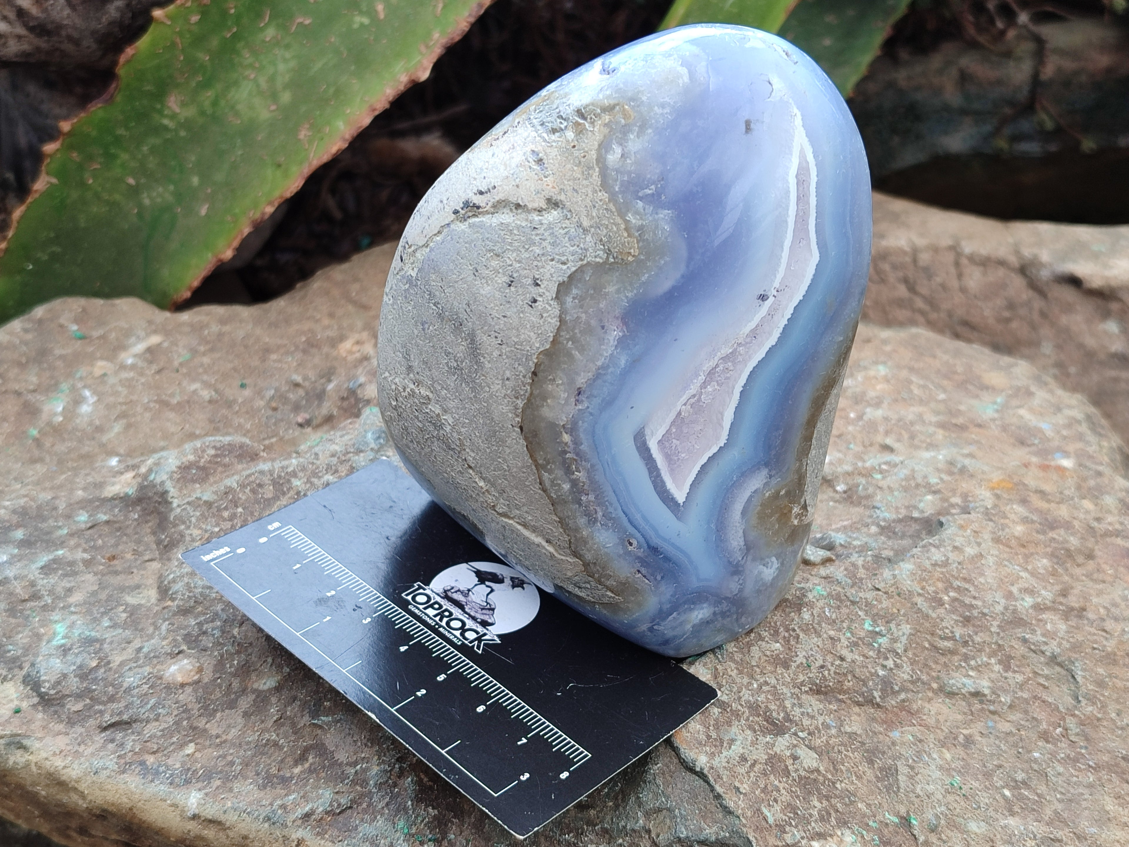 Polished Blue Lace Agate Standing Free Forms x 3 From Nsanje, Malawi - Toprock Gemstones and Minerals 