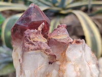 Natural Red Hematoid Quartz Clusters x 2 From Karoi, Zimbabwe - Toprock Gemstones and Minerals 