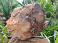 Natural Red Hematoid Quartz Clusters x 2 From Karoi, Zimbabwe - Toprock Gemstones and Minerals 