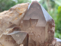 Natural Red Hematoid Quartz Clusters x 2 From Karoi, Zimbabwe - Toprock Gemstones and Minerals 