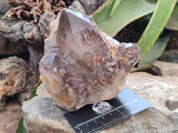 Natural Red Hematoid Quartz Clusters x 2 From Karoi, Zimbabwe - Toprock Gemstones and Minerals 