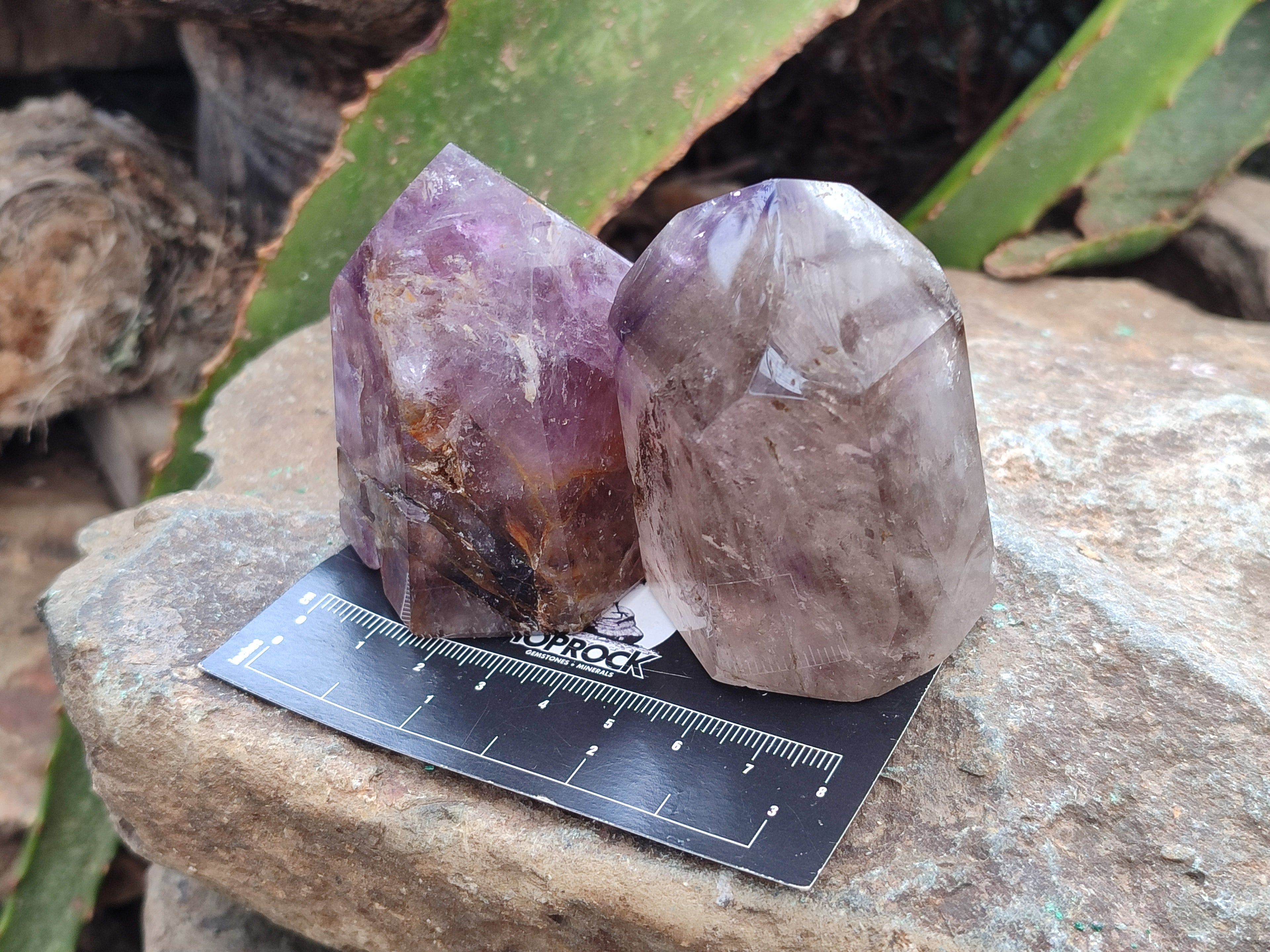 Polished Smokey Amethyst Window Quartz Crystals x 6 From Akansobe, Madagascar - Toprock Gemstones and Minerals 