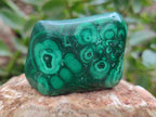 Polished Flower Banded Malachite Free Forms x 15 From Congo - Toprock Gemstones and Minerals 