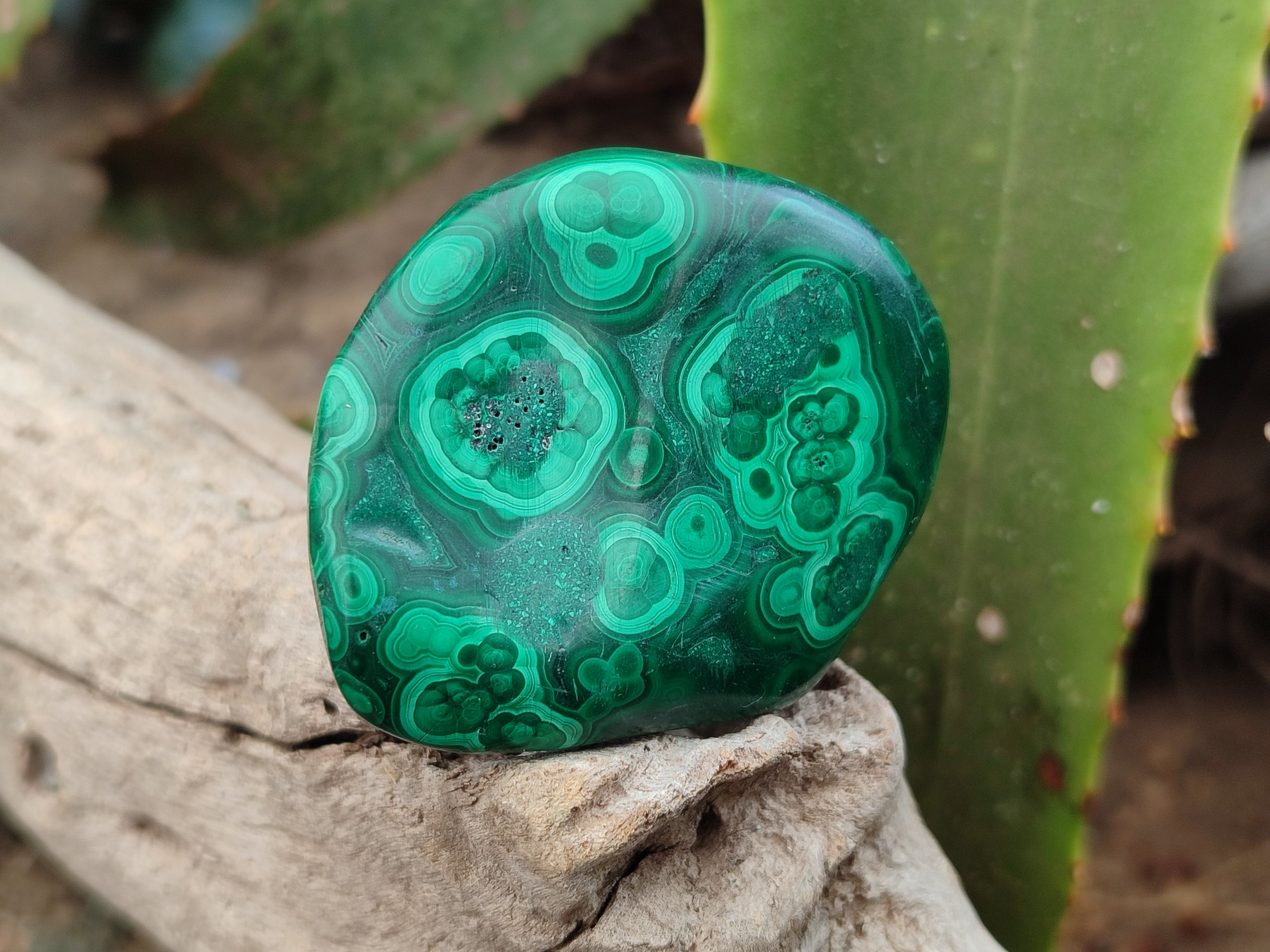 Polished Flower Banded Malachite Free Forms x 15 From Congo - Toprock Gemstones and Minerals 