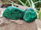 Polished Flower Banded Malachite Free Forms x 15 From Congo - Toprock Gemstones and Minerals 