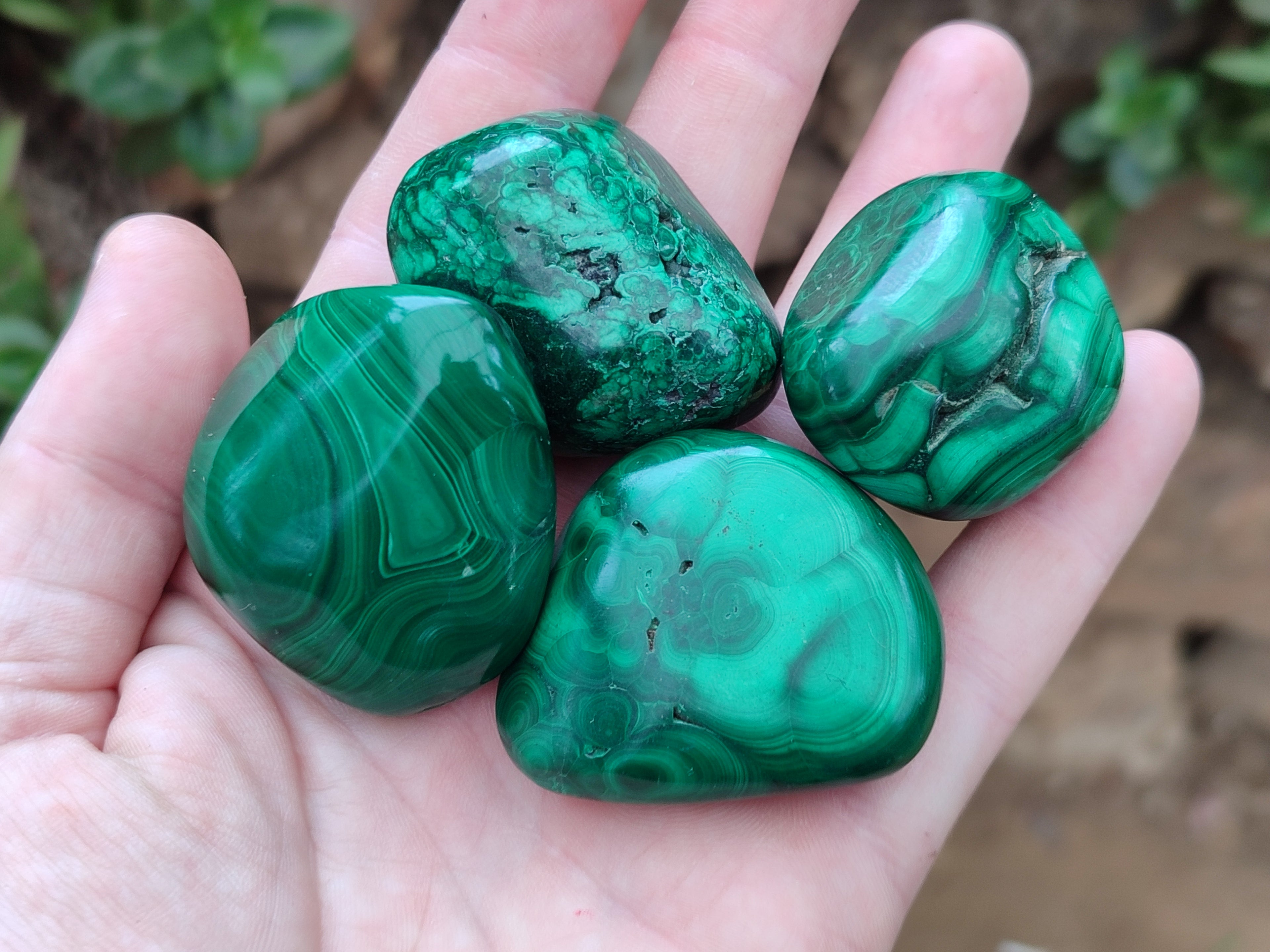 Polished Flower Banded Malachite Free Forms x 15 From Congo - Toprock Gemstones and Minerals 
