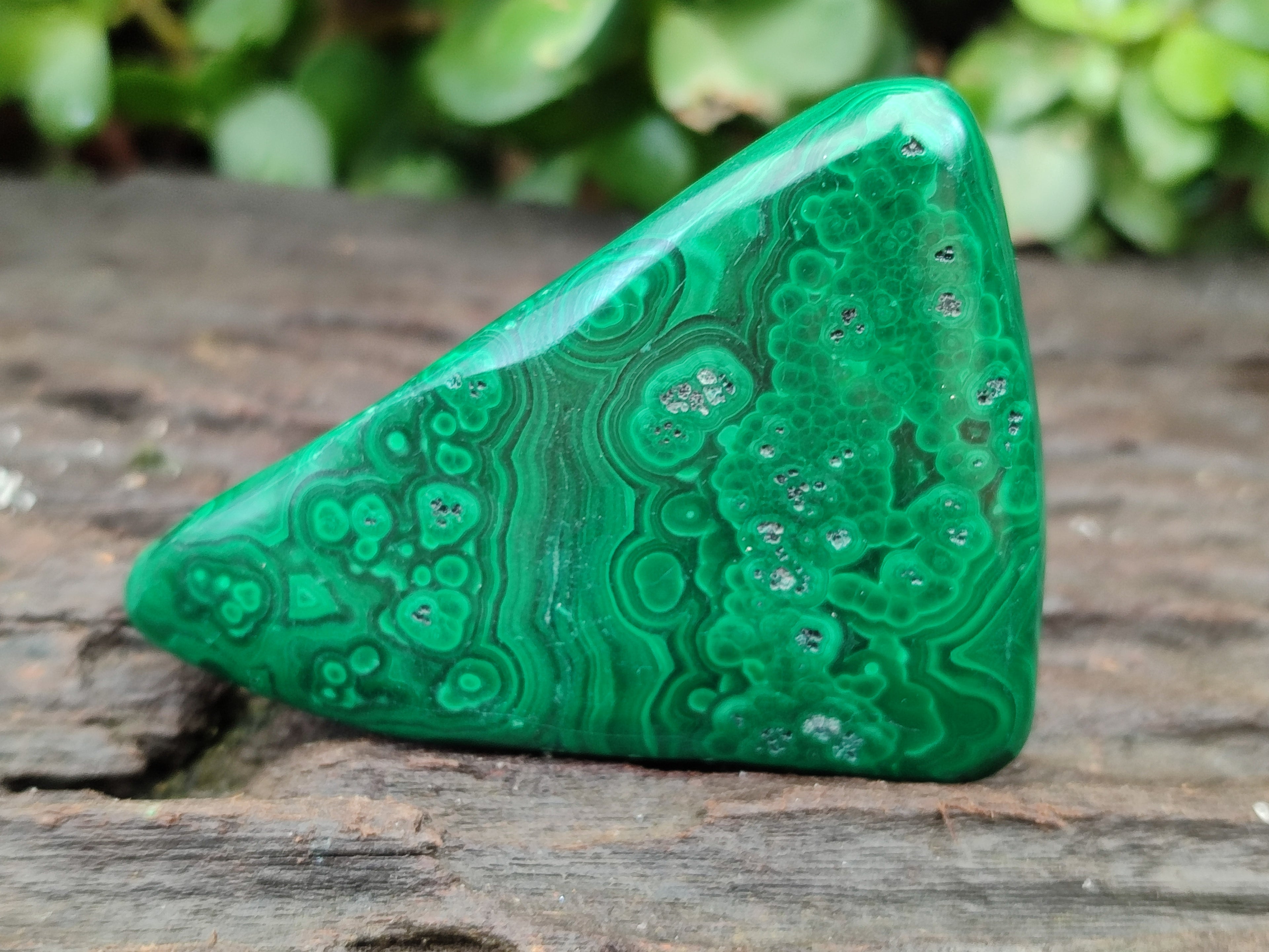 Polished Flower Banded Malachite Free Forms x 15 From Congo - Toprock Gemstones and Minerals 