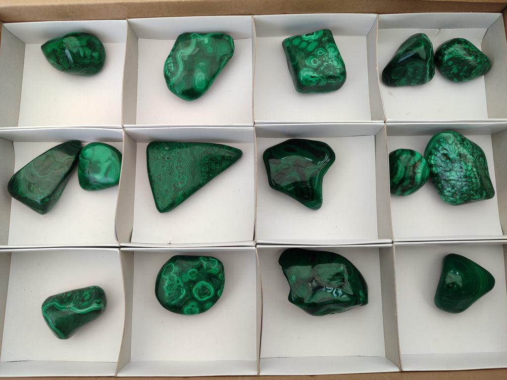 Polished Flower Banded Malachite Free Forms x 15 From Congo - Toprock Gemstones and Minerals 