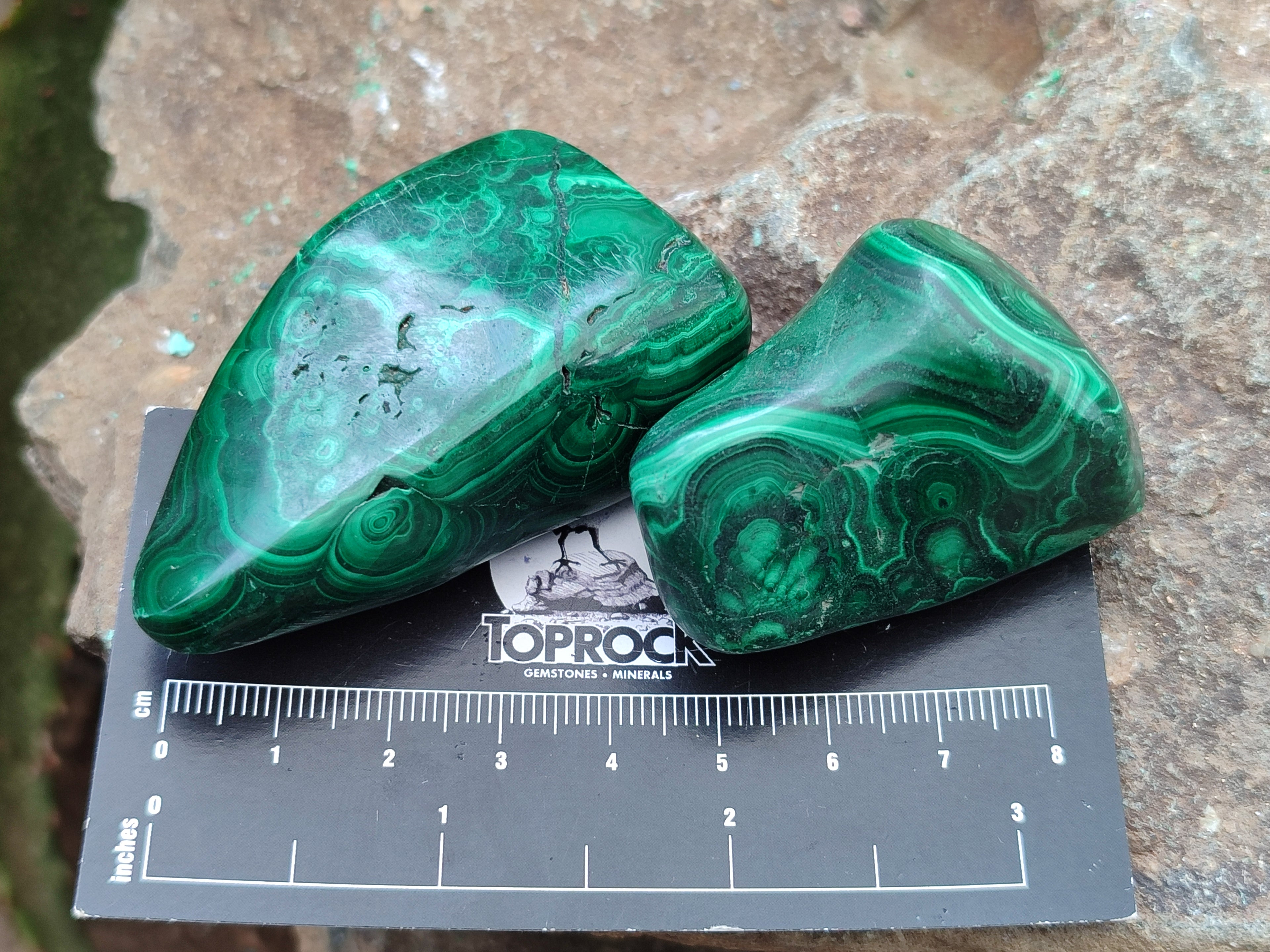 Polished Flower Banded Malachite Free Forms x 15 From Congo - Toprock Gemstones and Minerals 