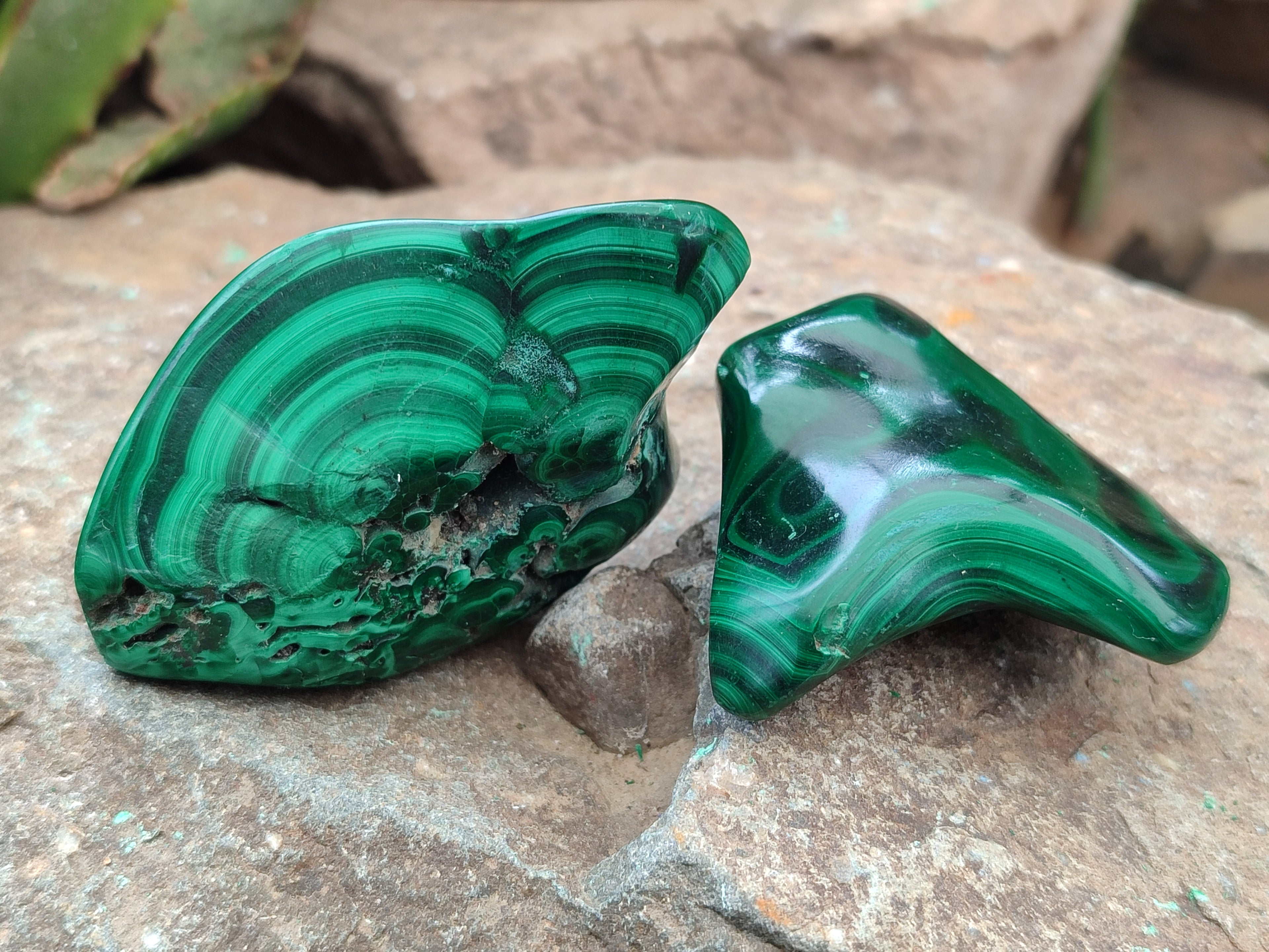 Polished Flower Banded Malachite Free Forms x 15 From Congo - Toprock Gemstones and Minerals 